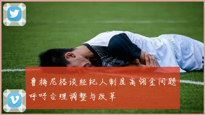 鲁梅尼格谈经纪人制度高佣金问题呼吁合理调整与改革